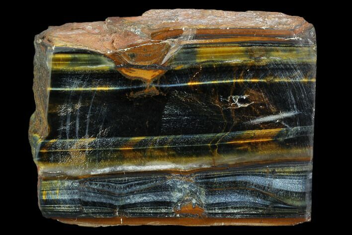 Polished Blue Tiger's Eye Section - South Africa #128482